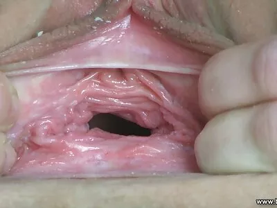 جوزلين كيلي وتايلر ستيل في صديق أختي المثير سكس عربي او مترجم