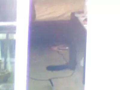 براندي احدث افلام سكس مترجم الحب وزاندر كورفوس في أول معلم جنس